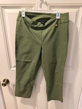 INC International Concepts Olive Cropped Ponte Ankle Pants Size 10 SMOKE FREE